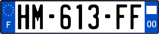 HM-613-FF