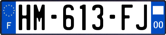 HM-613-FJ