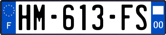 HM-613-FS