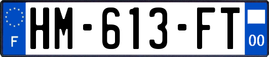 HM-613-FT