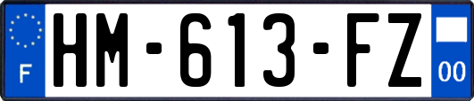 HM-613-FZ