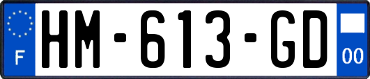HM-613-GD