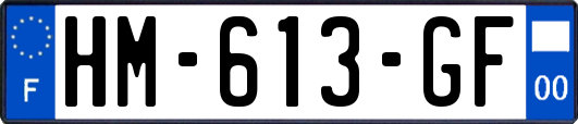HM-613-GF