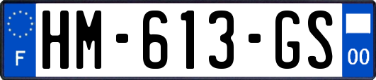 HM-613-GS