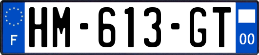 HM-613-GT