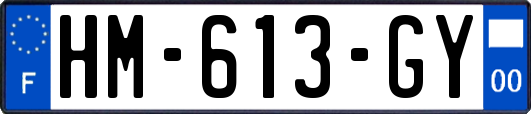 HM-613-GY