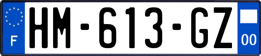 HM-613-GZ