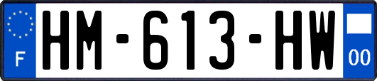 HM-613-HW