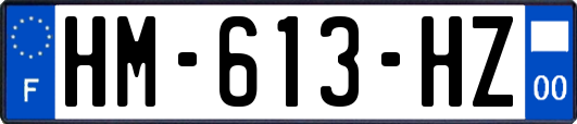 HM-613-HZ
