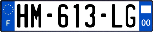 HM-613-LG