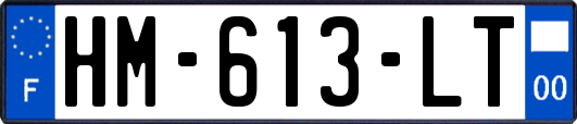 HM-613-LT