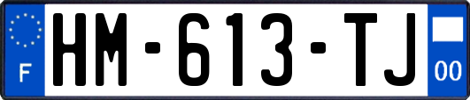 HM-613-TJ