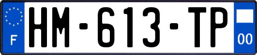 HM-613-TP