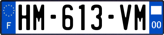 HM-613-VM