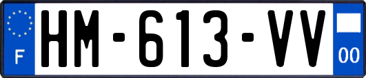 HM-613-VV