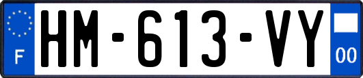 HM-613-VY