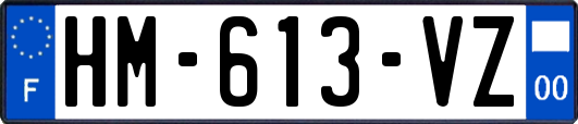 HM-613-VZ