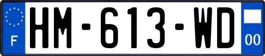 HM-613-WD