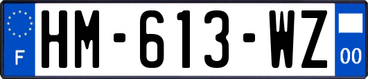 HM-613-WZ