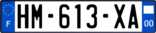 HM-613-XA