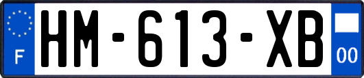 HM-613-XB