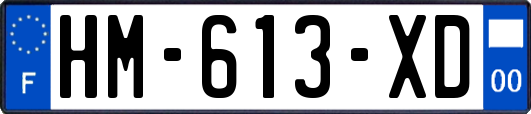 HM-613-XD
