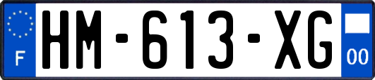 HM-613-XG