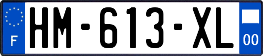 HM-613-XL