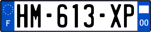 HM-613-XP