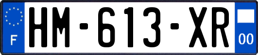 HM-613-XR
