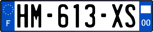 HM-613-XS