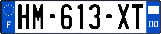 HM-613-XT