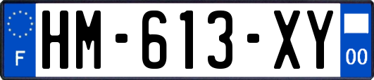 HM-613-XY