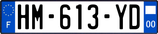 HM-613-YD