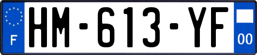 HM-613-YF