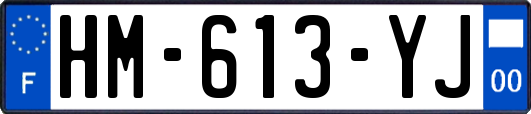 HM-613-YJ