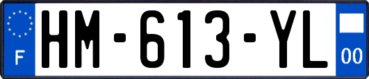 HM-613-YL