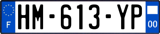 HM-613-YP