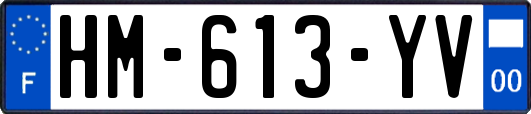 HM-613-YV