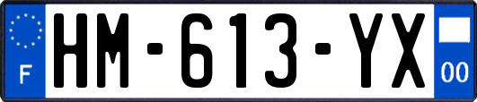 HM-613-YX