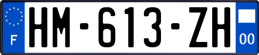HM-613-ZH