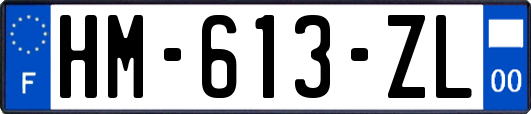HM-613-ZL