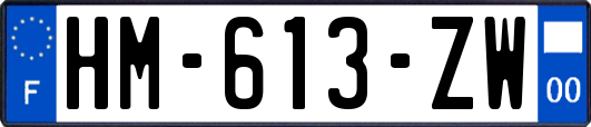 HM-613-ZW