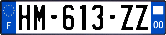 HM-613-ZZ