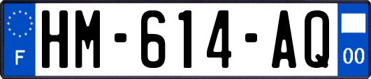 HM-614-AQ