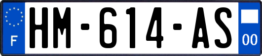 HM-614-AS