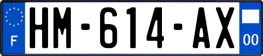 HM-614-AX