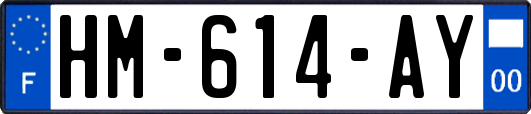 HM-614-AY