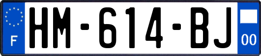 HM-614-BJ