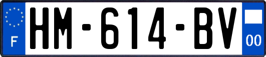 HM-614-BV